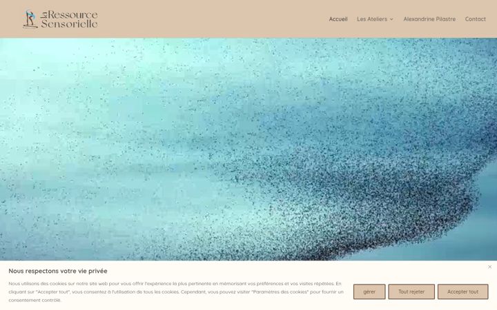 Screenshot of laressourcesensorielle.fr