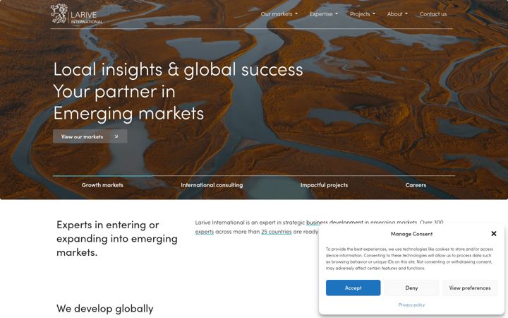Screenshot of larive.com