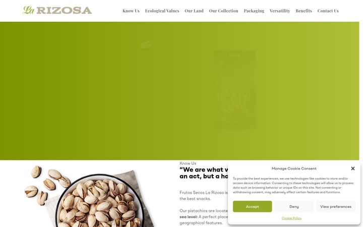 Screenshot of larizosa.com