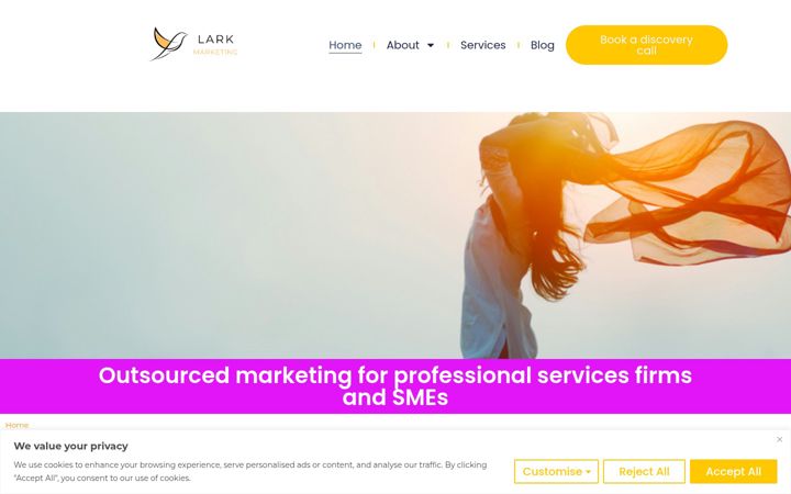 Screenshot of larkmarketing.co.uk