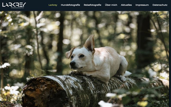 Screenshot of larkrey.de