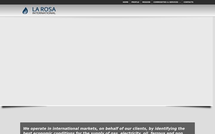 Screenshot of larosa-international.com
