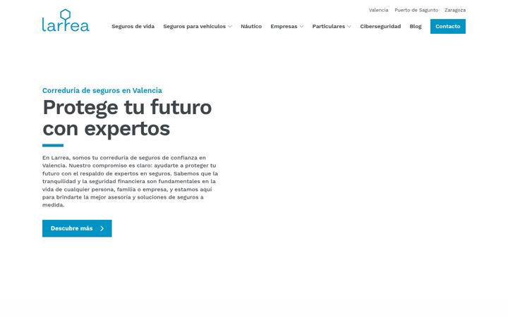 Screenshot of larreaseguros.es