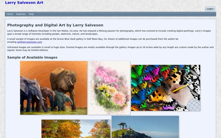 Screenshot of larrysalveson.com