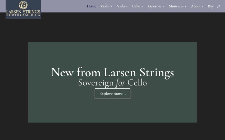 Screenshot of larsenstrings.us