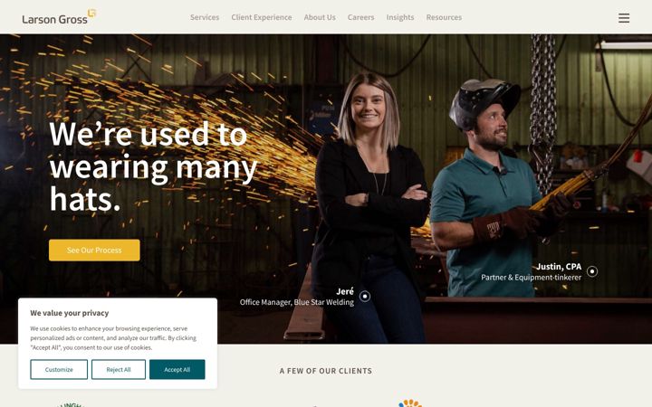 Screenshot of larsongross.com