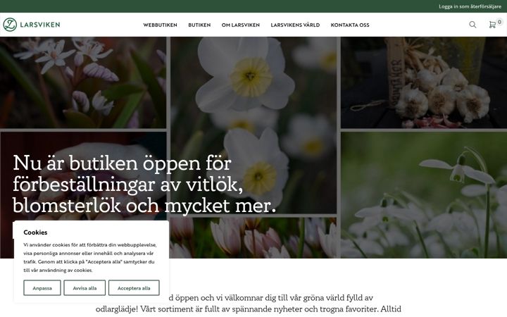 Screenshot of larsviken.se
