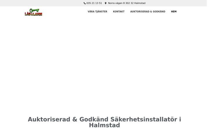 Screenshot of las-larm.com