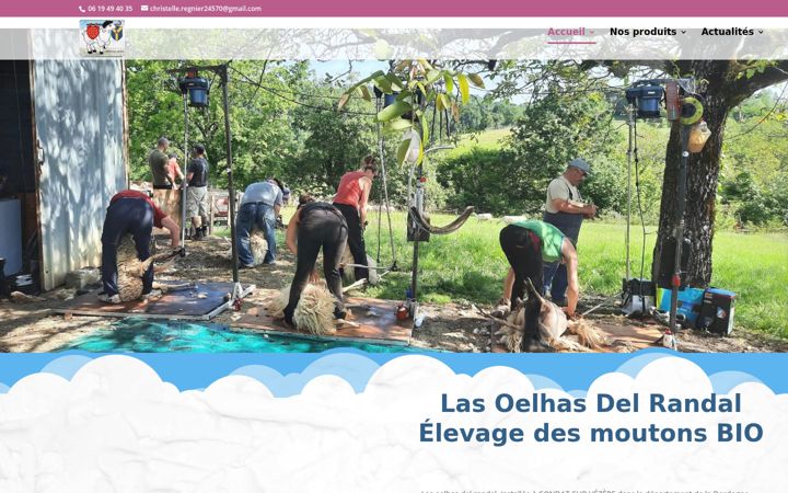 Screenshot of las-oelhas-del-randal.fr