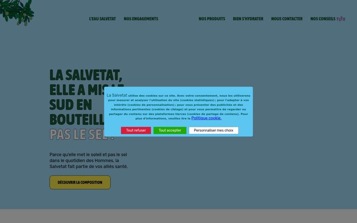 Screenshot of lasalvetat.fr
