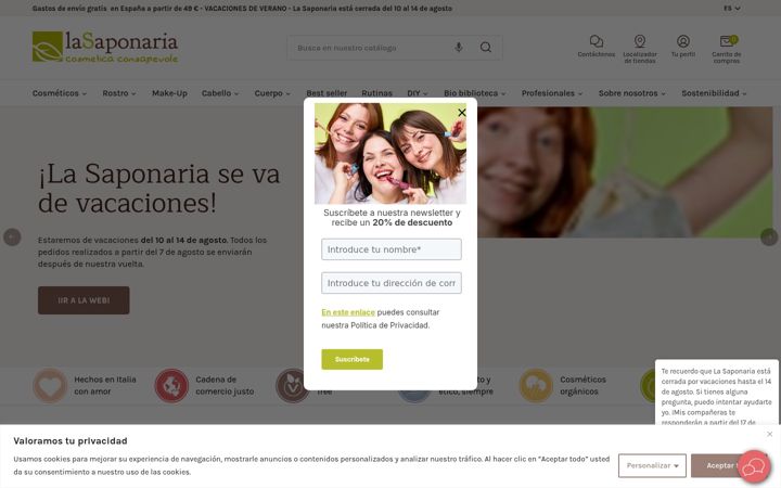 Screenshot of lasaponaria.es