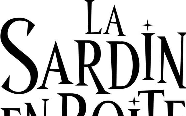 Screenshot of lasardineenboites.com