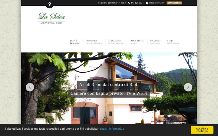 Screenshot of laselva.info