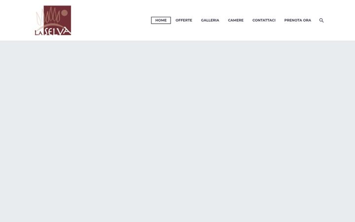 Screenshot του laselvahotel.it
