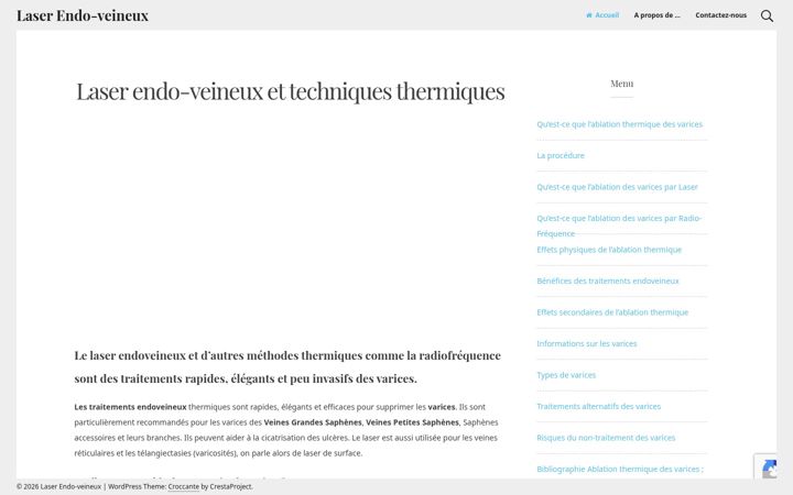 Screenshot of laser-endo-veineux.eu