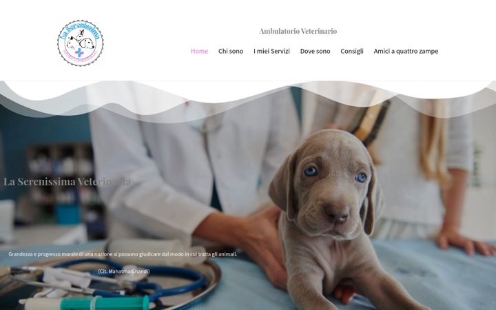 Screenshot of laserenissimaveterinaria.it