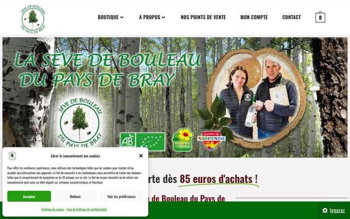 Screenshot of lasevedebouleaudupaysdebray.fr