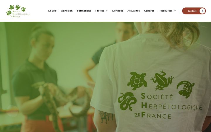 Screenshot of lashf.org