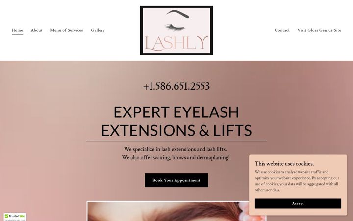 Screenshot of lashlyinc.com