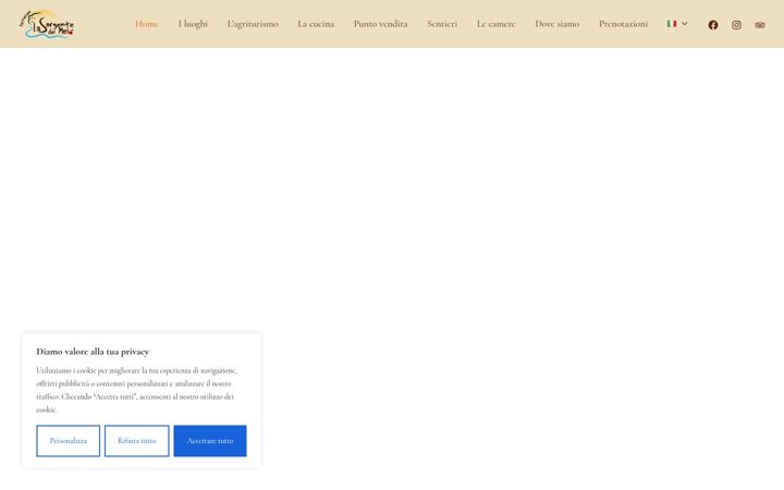 Screenshot of lasorgentedelmelo.it