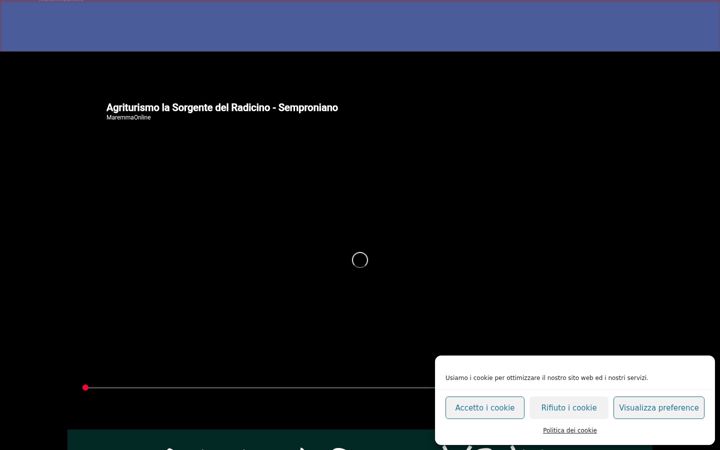 Screenshot of lasorgentedelradicino.it