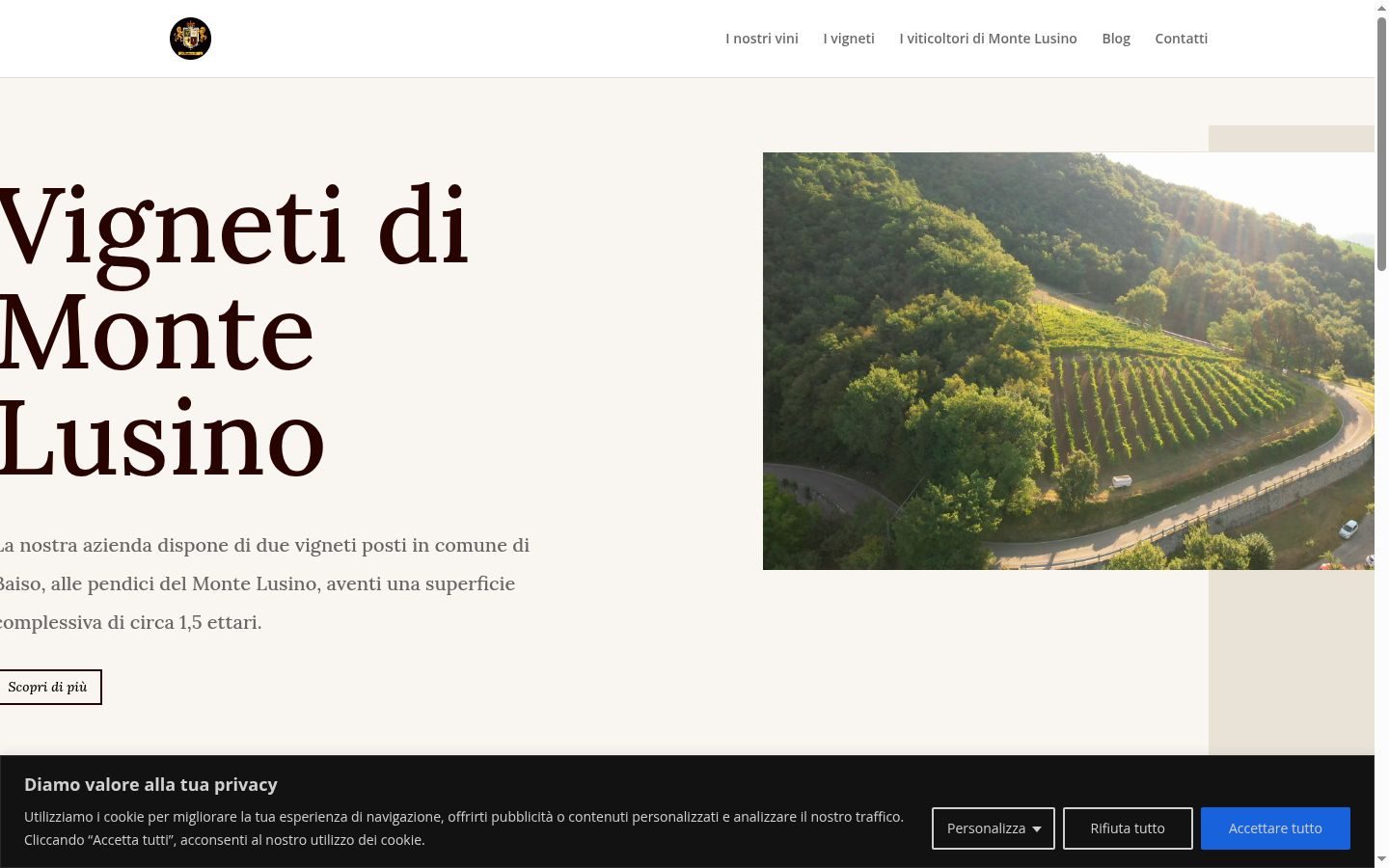Screenshot del banner di consenso mostrato prima di qualsiasi interazione
