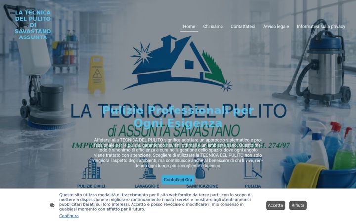 Screenshot of latecnicadelpulito.it