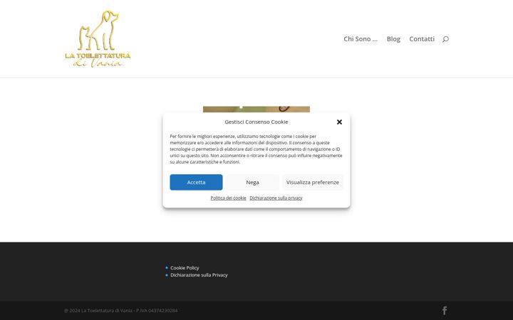Screenshot of latoelettatura.net