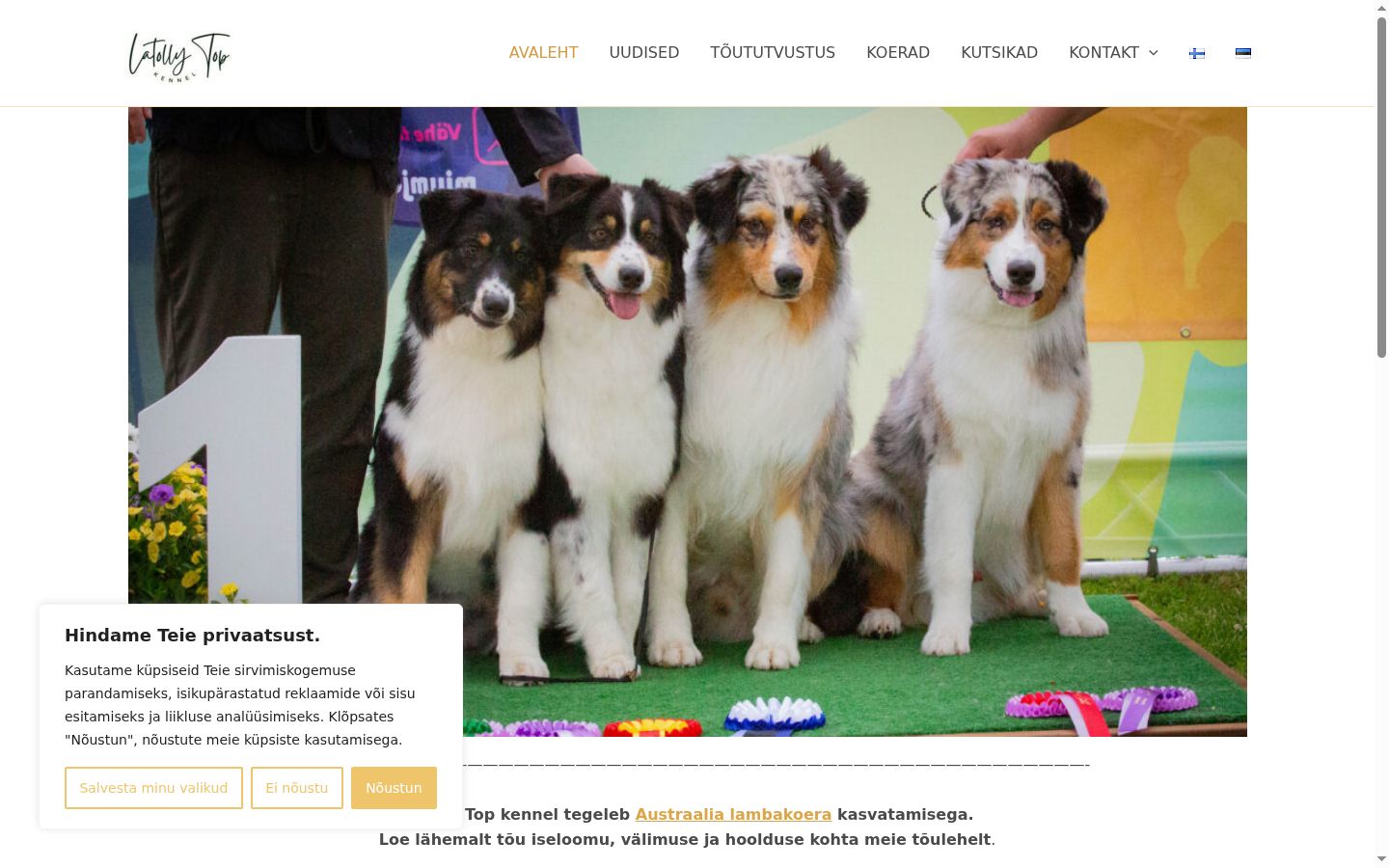 Screenshot des Einwilligungsbanners vor jeglicher Interaktion