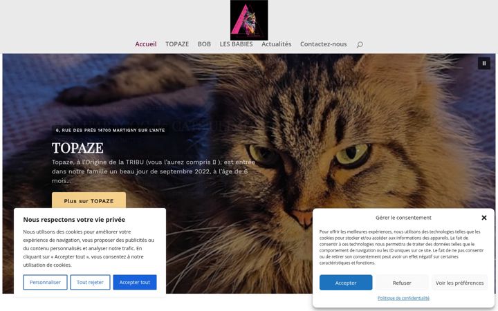 Screenshot of latribudetopaze.fr