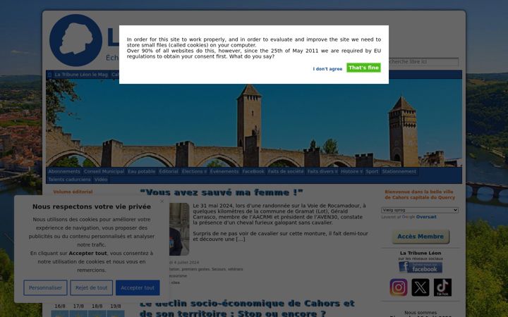 Screenshot of latribuneleon.fr