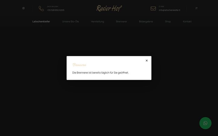 Screenshot of latschenkiefer.it