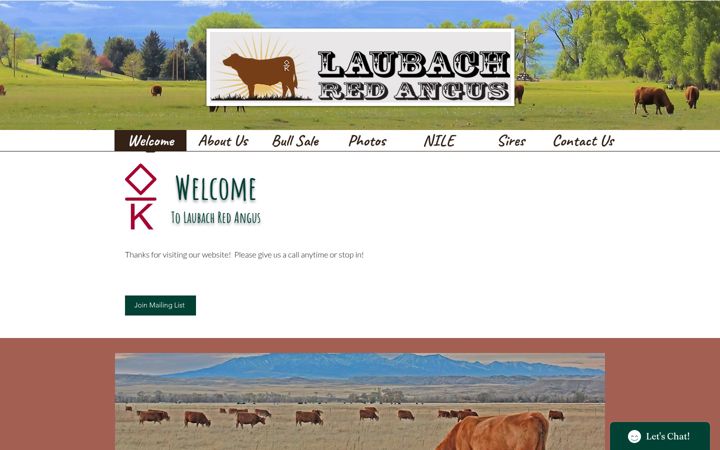 Screenshot of laubachredangus.com