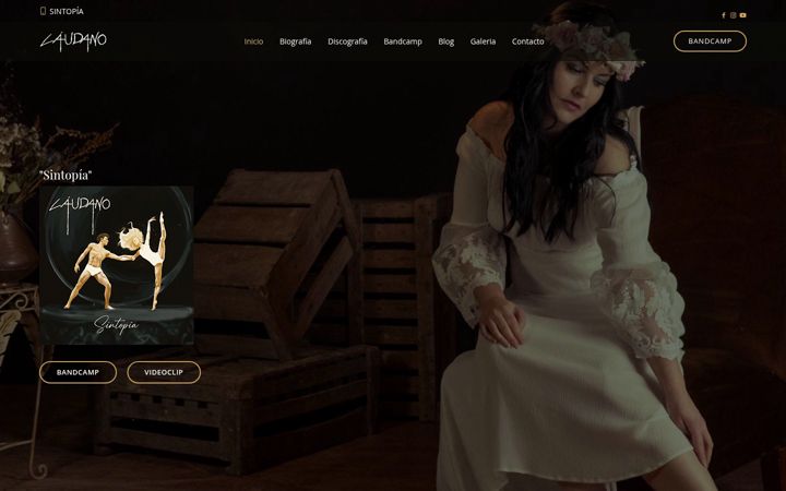 Screenshot of laudano.com