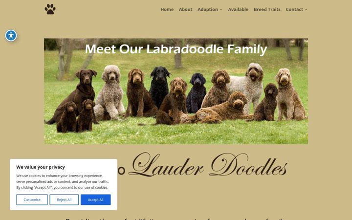 Screenshot of lauderdoodles.com