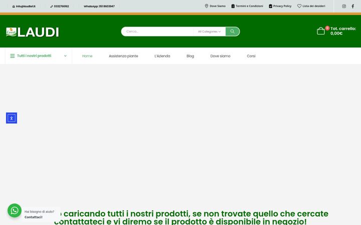 Screenshot of laudisrl.it