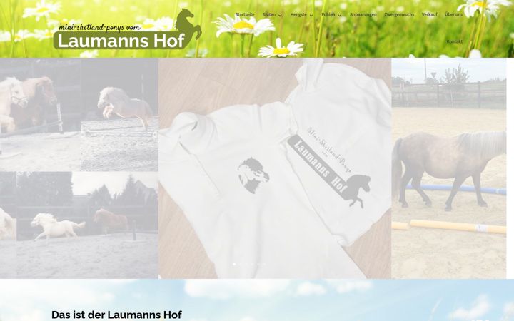 Screenshot of laumanns-hof.de