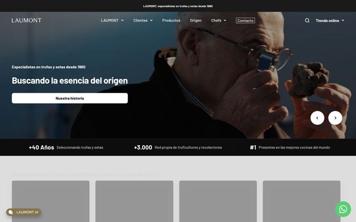 Screenshot of laumont.es