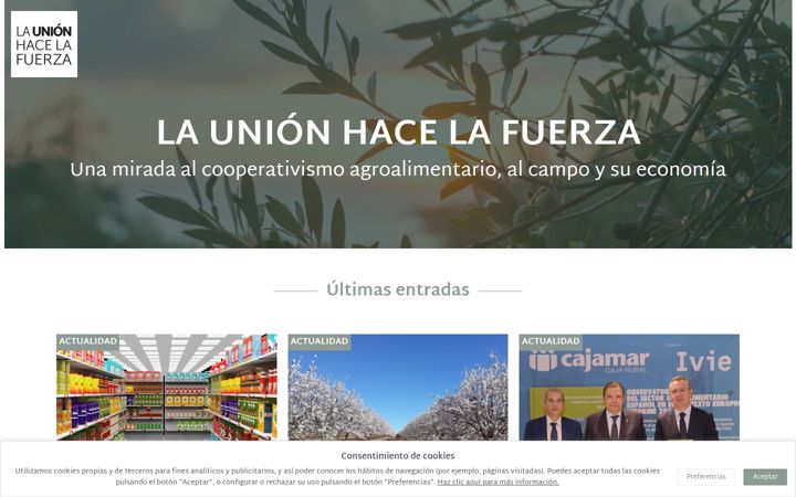 Screenshot of launionhacelafuerza.es