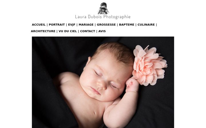 Screenshot of laura-dubois-photo.com