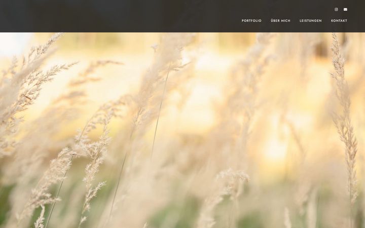 Screenshot of laura-schott.de