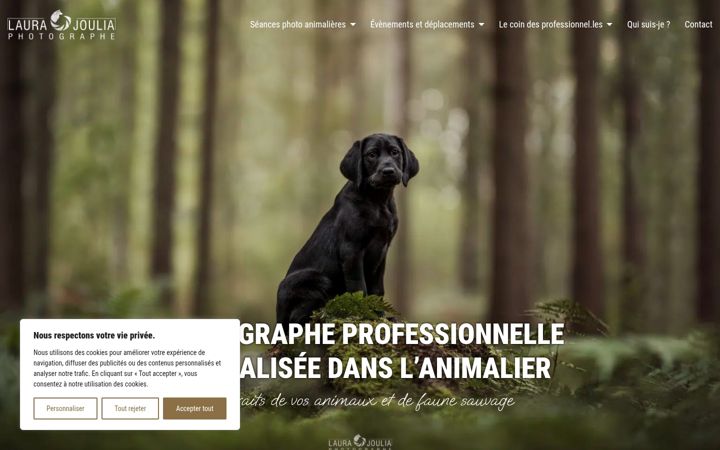 Screenshot of laurajoulia-photographe.com