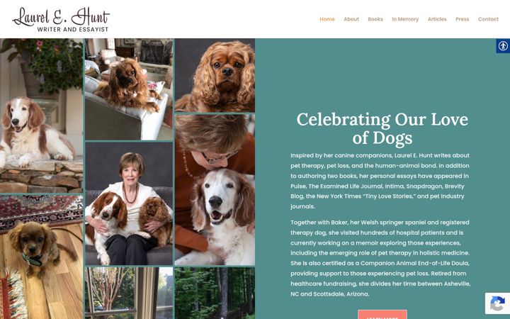 Screenshot of laurelhuntbooks.com