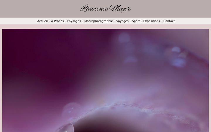 Screenshot of laurencemeyer.com