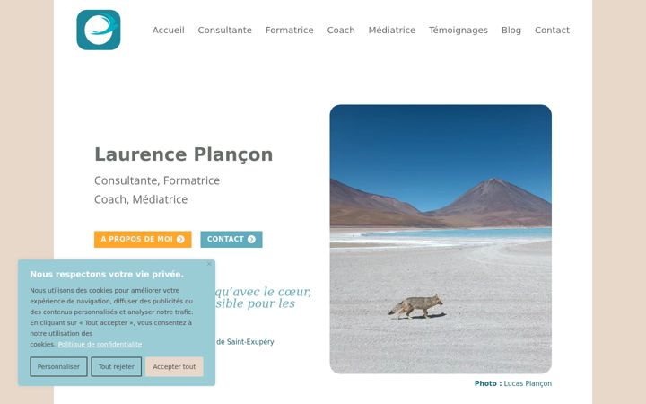Screenshot of laurenceplancon.fr