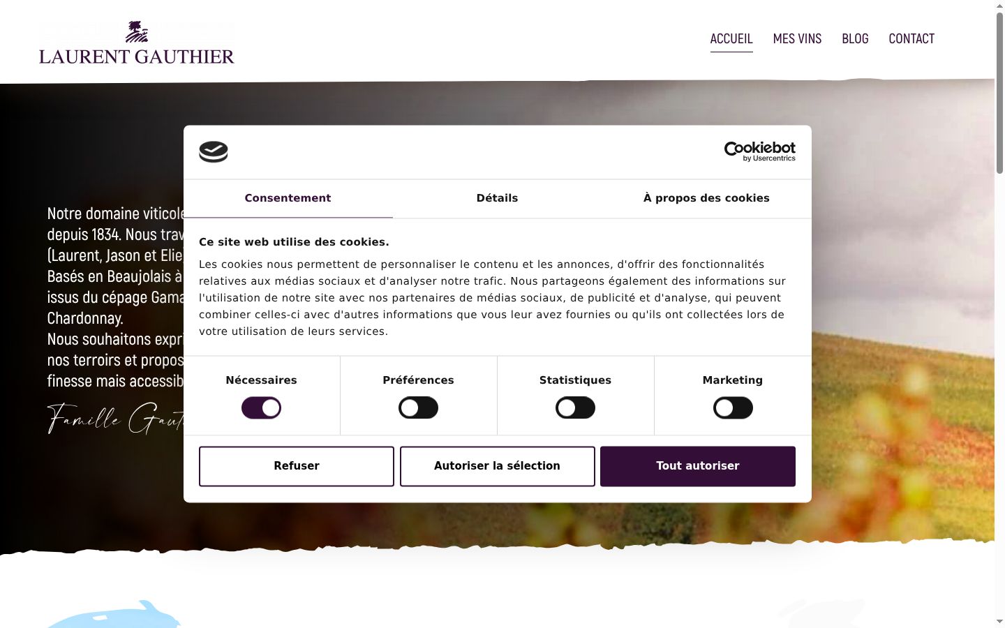 Screenshot del banner di consenso mostrato prima di qualsiasi interazione