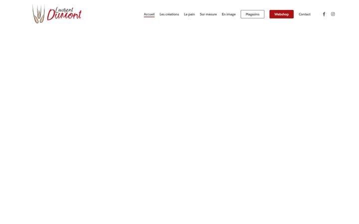 Screenshot of laurentdumont.be