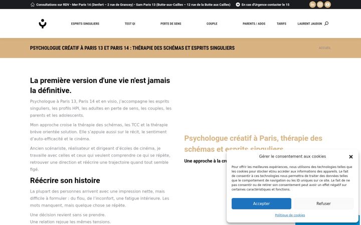 Screenshot of laurentjaudon-psychologue.fr