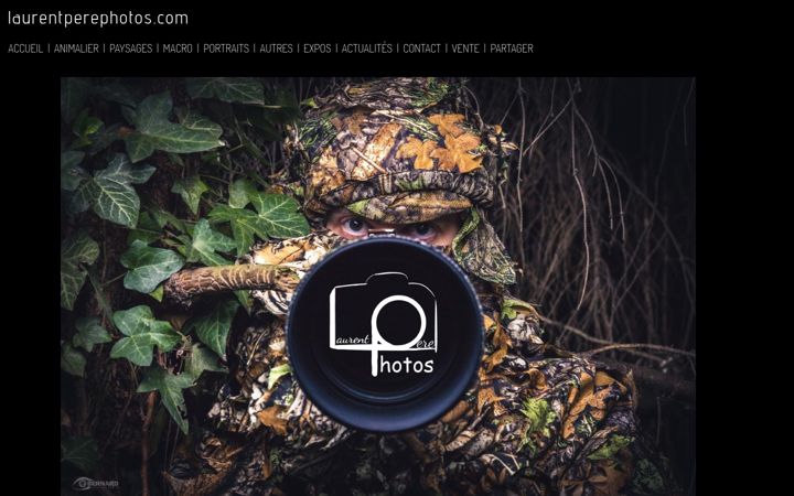 Screenshot of laurentperephotos.com