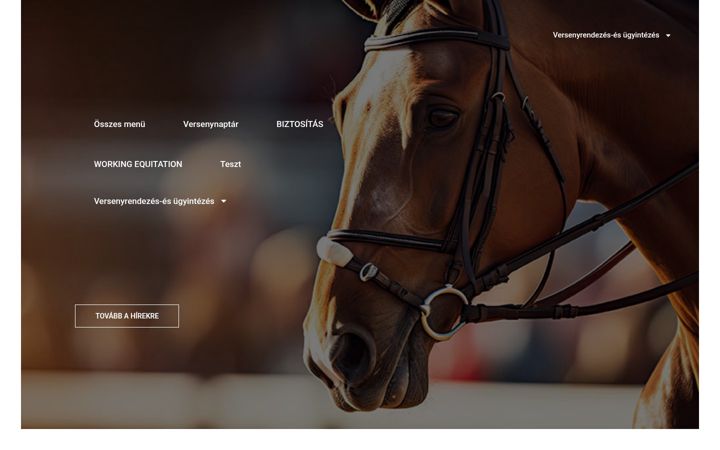Screenshot of lausz.hu